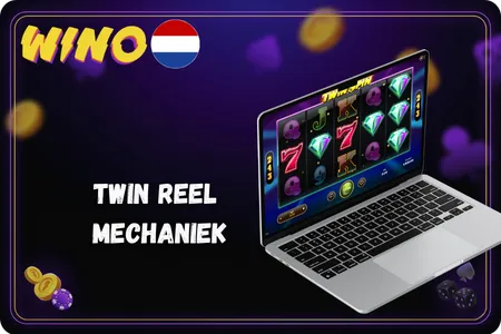 Twin Spin op een laptop met 5 rollen, 3 rijen en 243 winmanieren